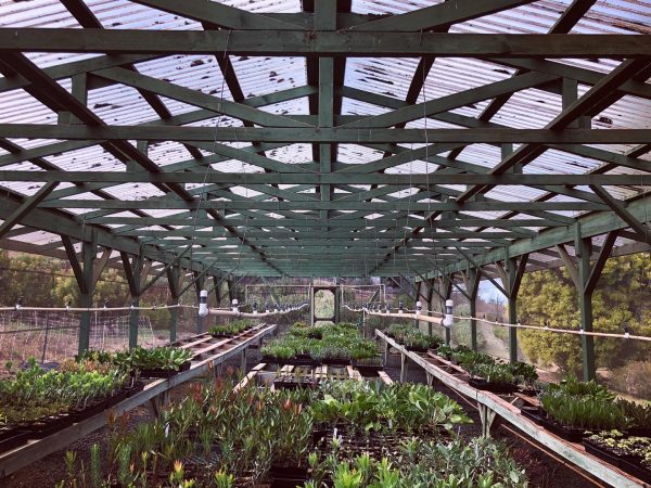 Tour , Greenhouse
